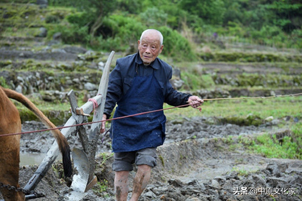 俗话说头无油脚无汗,头无脑油脚无汗有什么说法