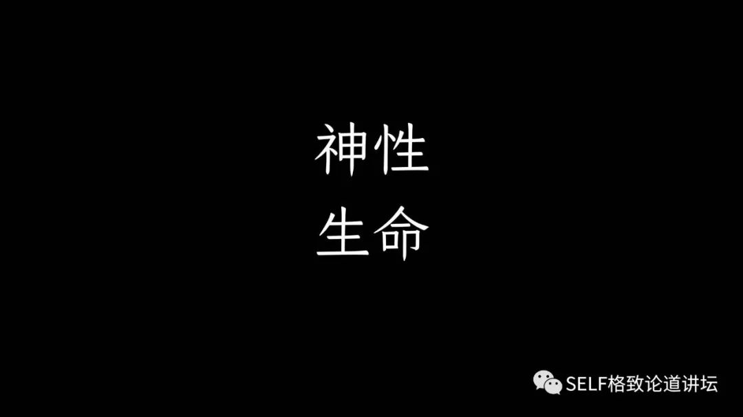 手机怎样才能变成最好看的字体,用手机字体代替手写