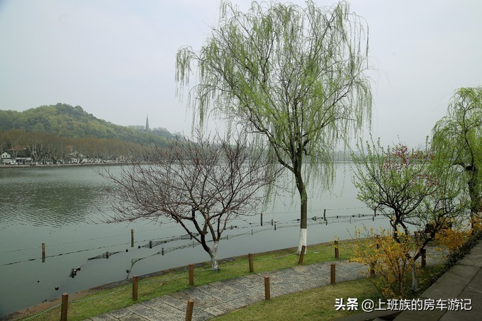 周末微旅行：秦望山麓访名校，白沙堤岸醉桃柳（第二季）