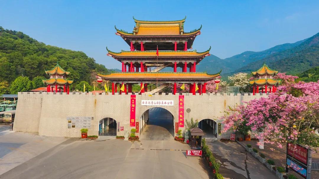 观音山婚纱照怎么拍,厦门旅拍婚纱照观音山