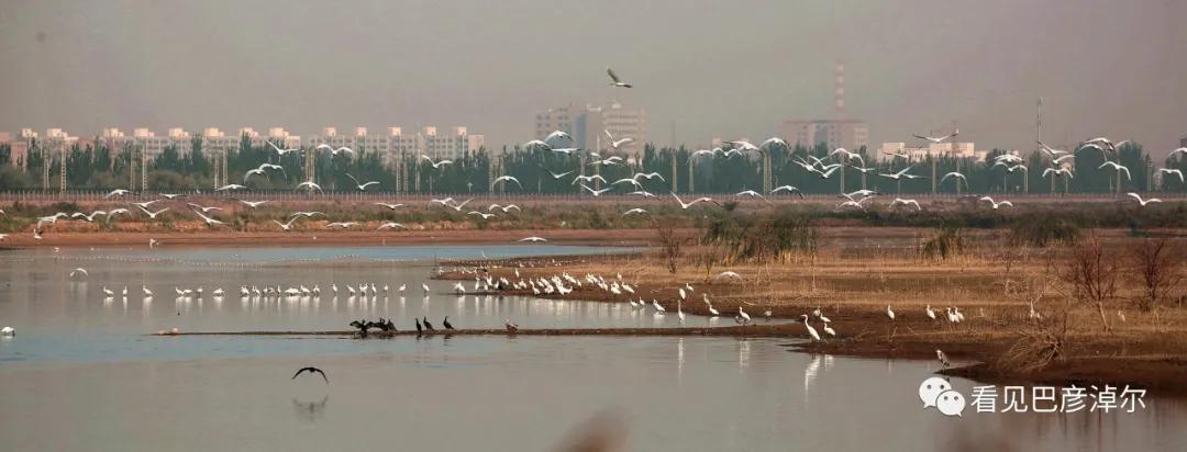 来认识一个不一样的我翻译,来认识不一样的滑雪