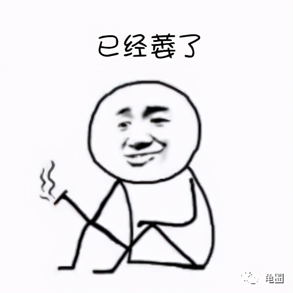 养龟人有什么习惯,养龟人有哪些习惯