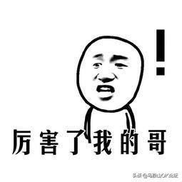 马鞍山过山车气温,马鞍山气温升降