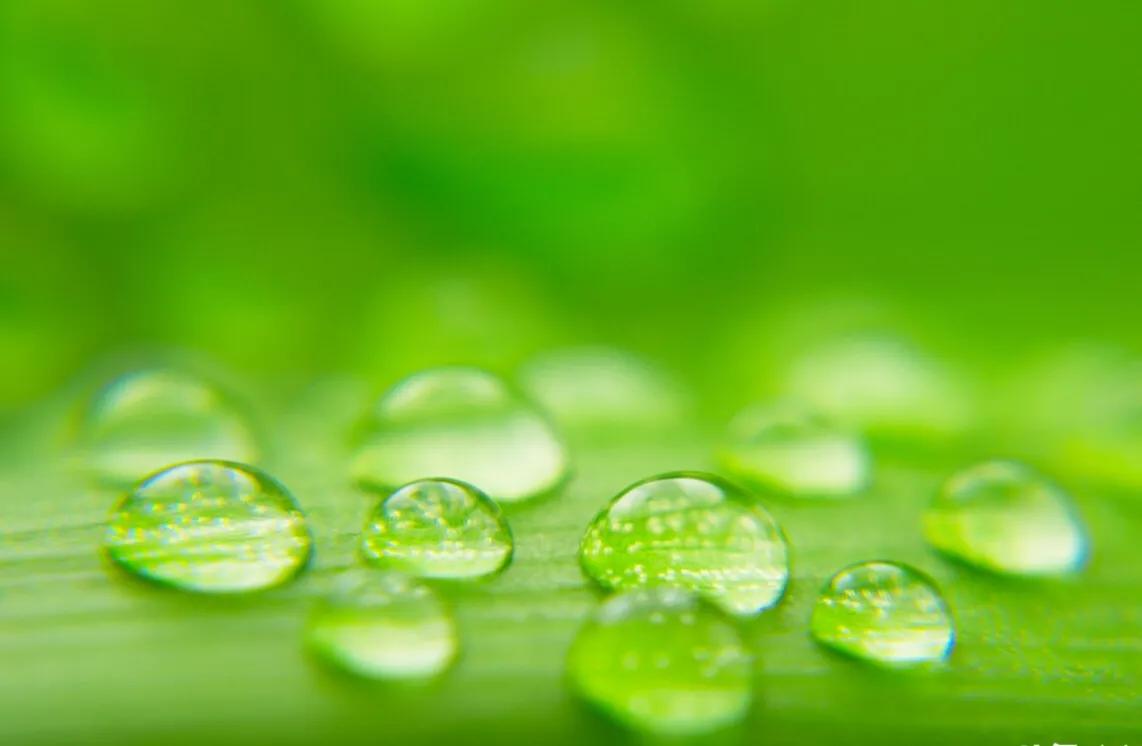 空翠湿人衣前一句,空翠湿人衣分析