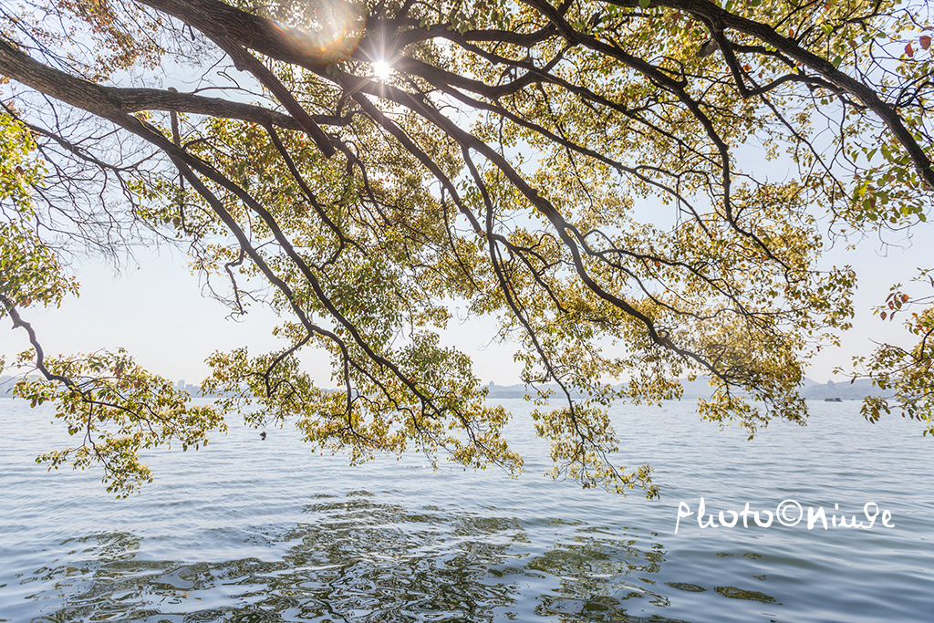 上海到杭州西湖一日游攻略,杭州机场到西湖旅游攻略