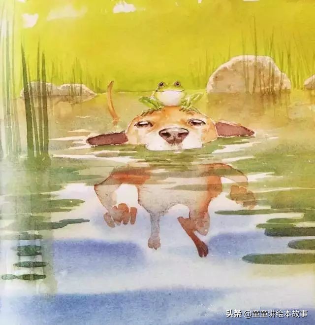 绘本故事有声小熊进城,绘本故事大城市里的小象