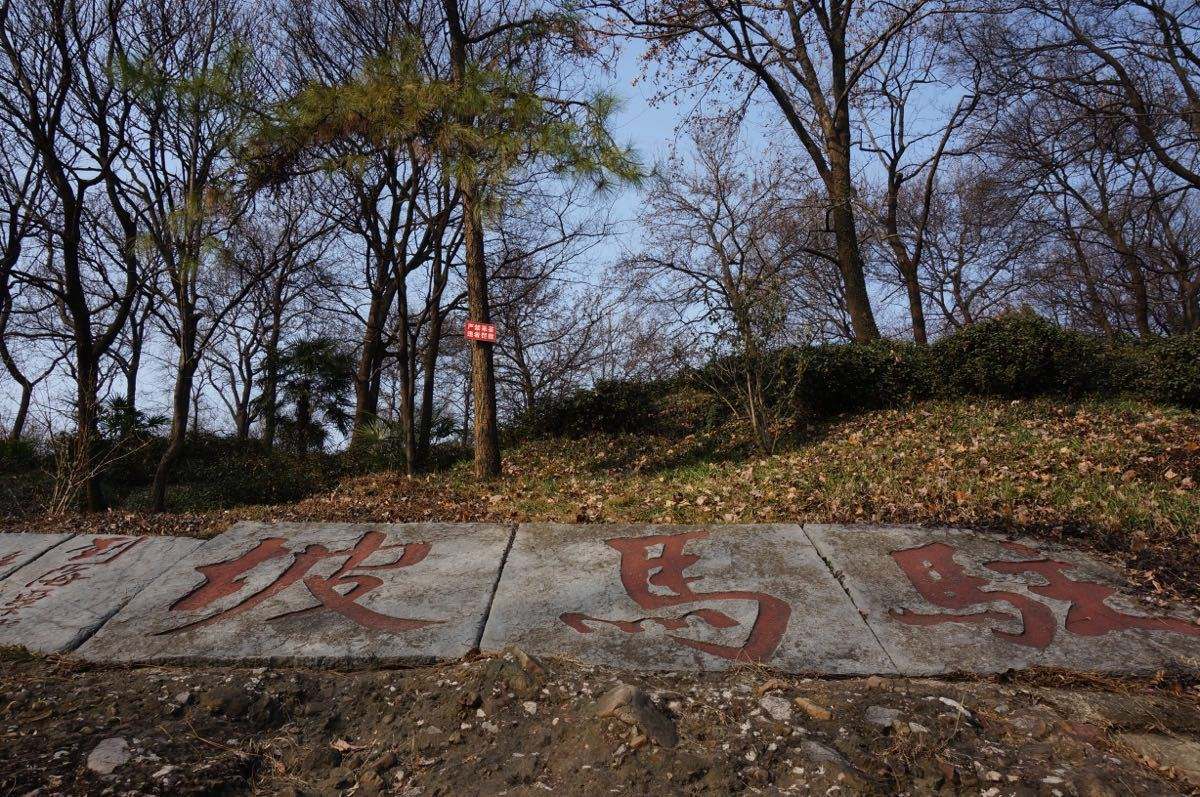 南京一定要去的山,南京值得去的山