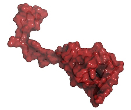 水蛭吸血可治病？结果几百年前的西方人因此导致梅毒的交叉感染