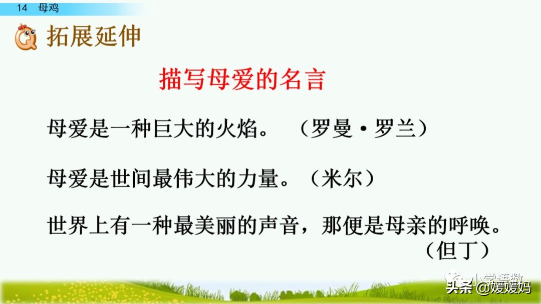 四年级下册第13课小练笔仿写母鸡,四年级下册14课母鸡的预习完整版