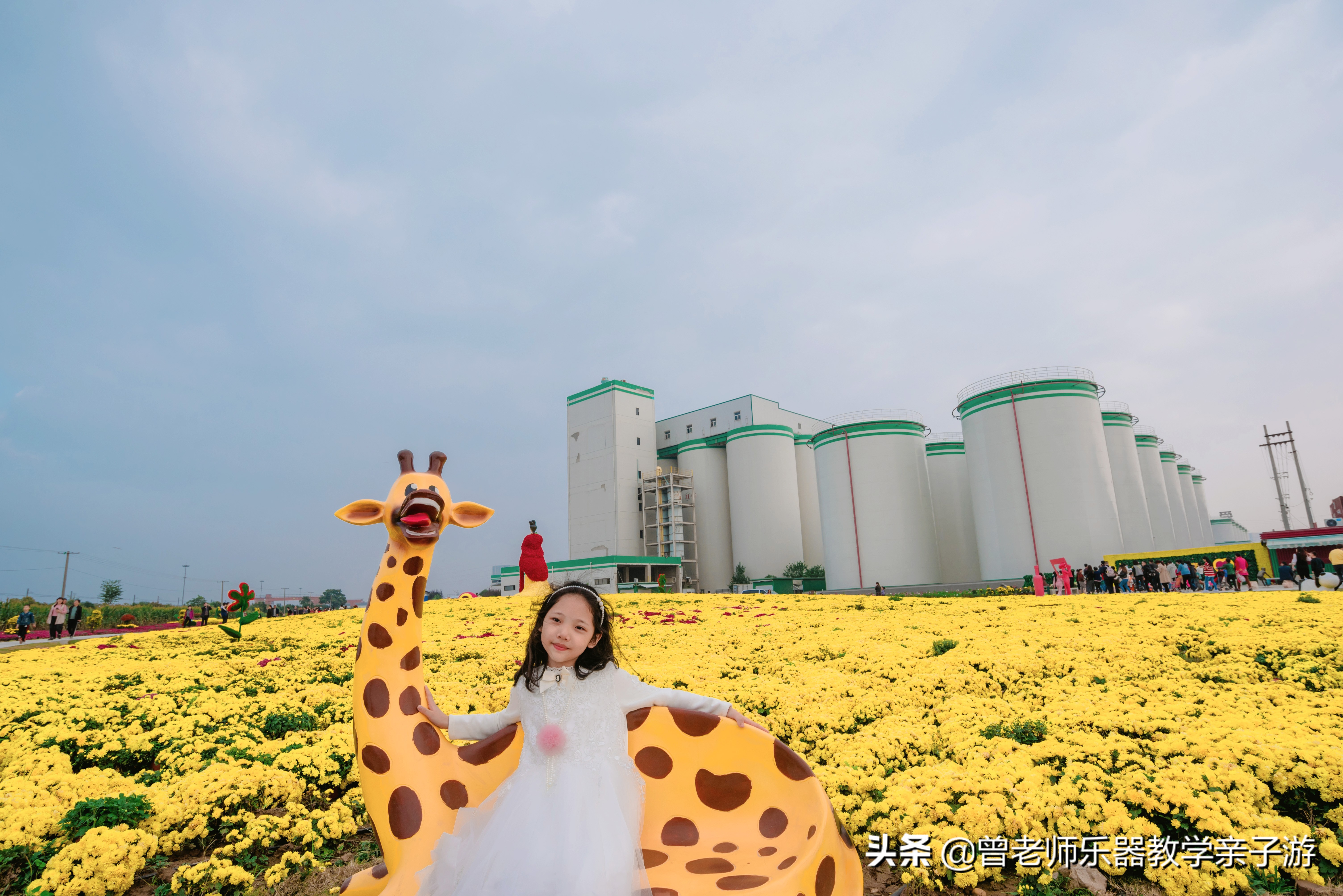 爱菊研学游,爱菊丝路文化菊花园西安