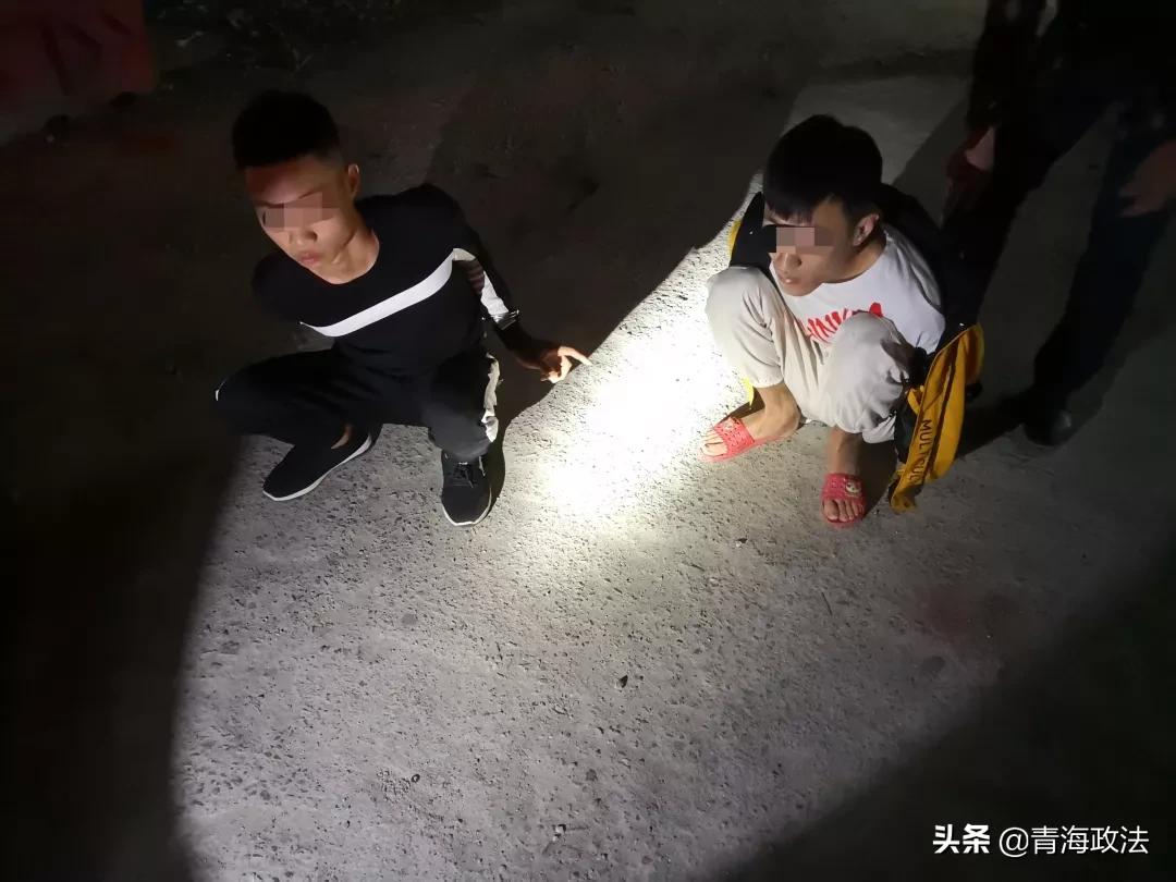 毒贩在蛇体内藏毒,毒贩在牛身上藏毒