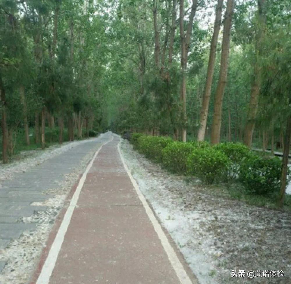 紧急提醒合肥,合肥5月5日天气预警图