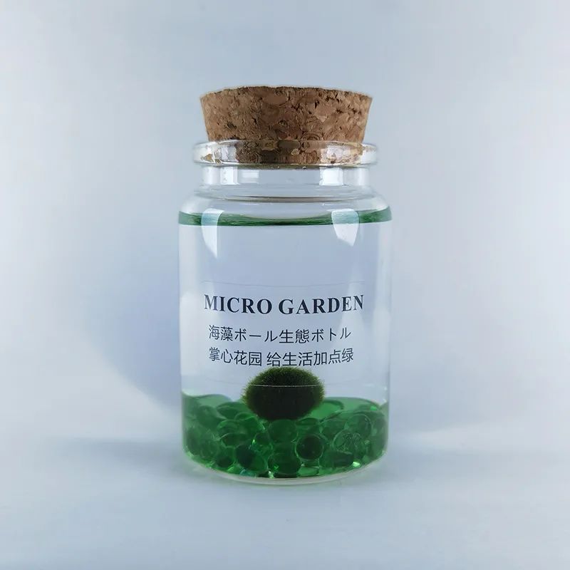 牛年扭蛋机、5折买明星同款、年味美食买一赠一，新春焕新颜