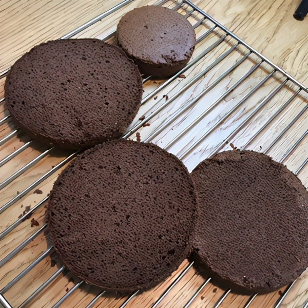 方形巧克力淋面水果生日蛋糕图片,六寸巧克力生日蛋糕做法家庭版