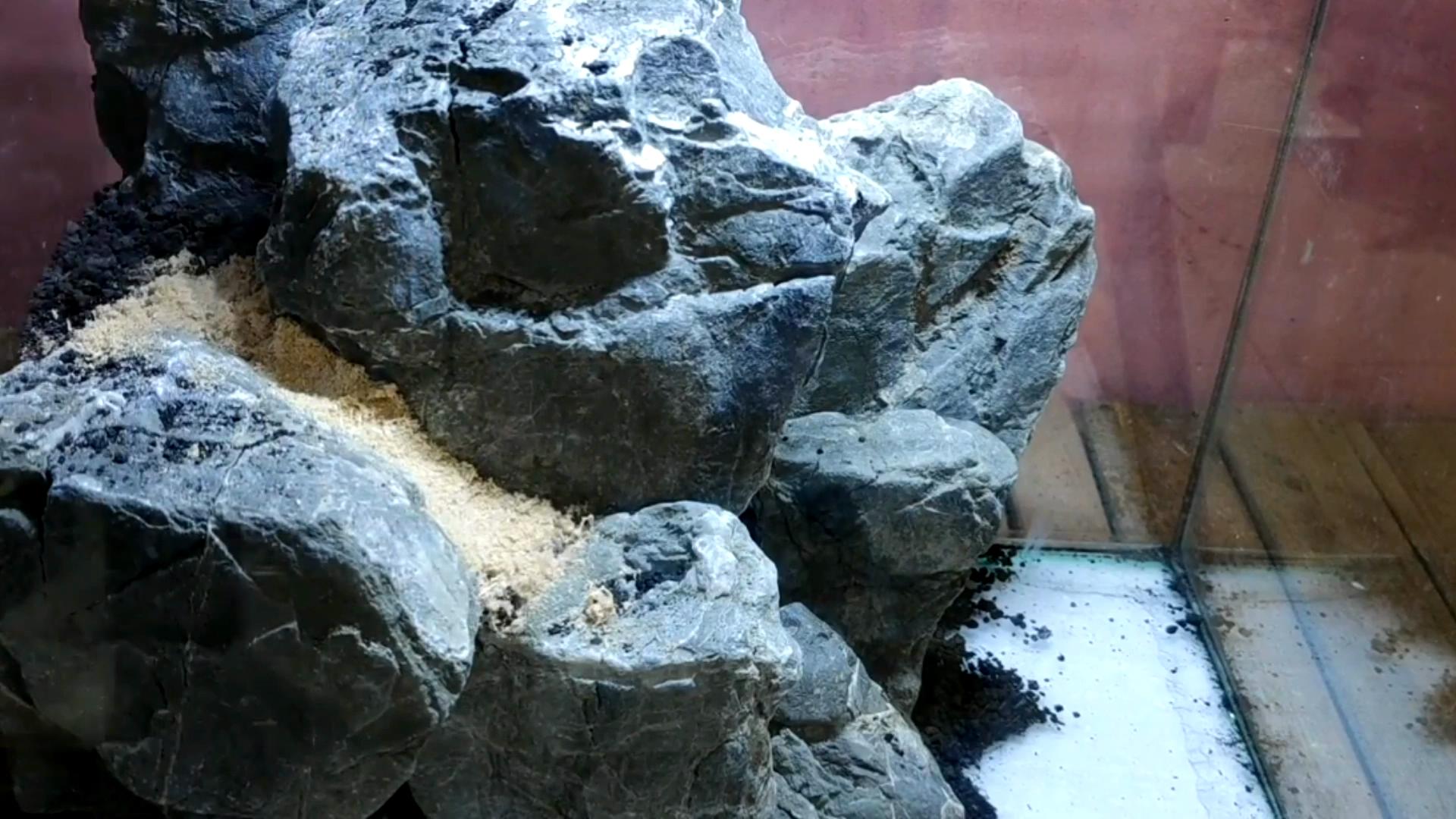 水陆缸石头拼接造景教程,真石头假山拼接造景