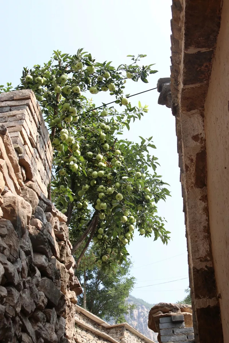 山西云丘山风景区民宿,你还知道哪些山西民宿呢