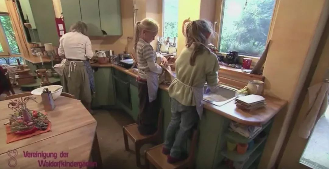 国家对华德福的态度,华德福在中国的发展历程