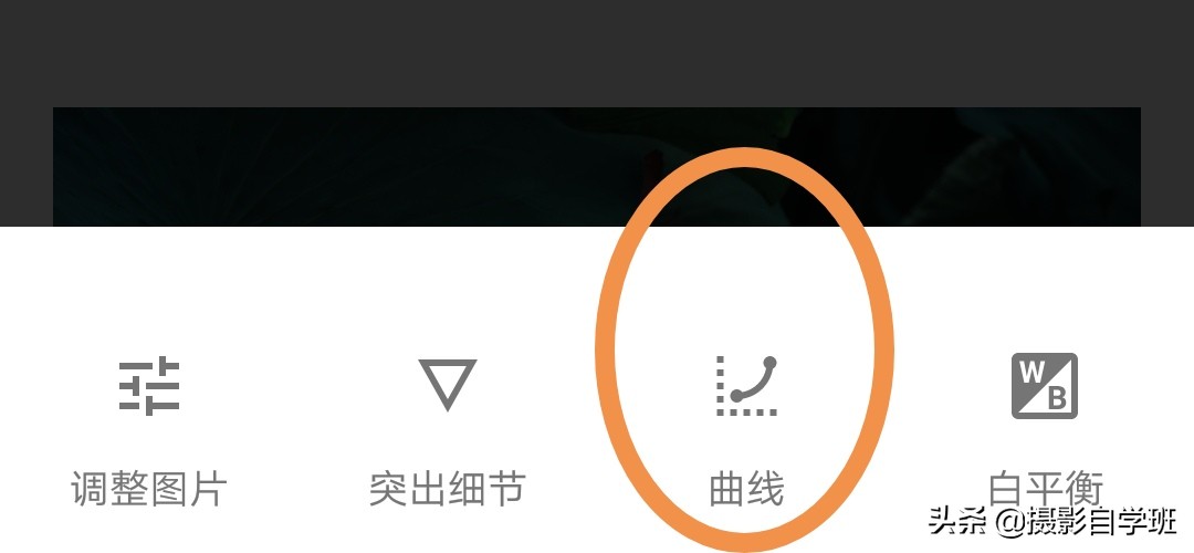 雾里看花怎么拍,雾景的拍摄技巧拍出雾气朦胧大片