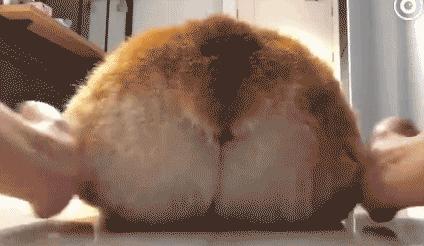 月圆人圆汤圆,汤圆月圆人团圆下联