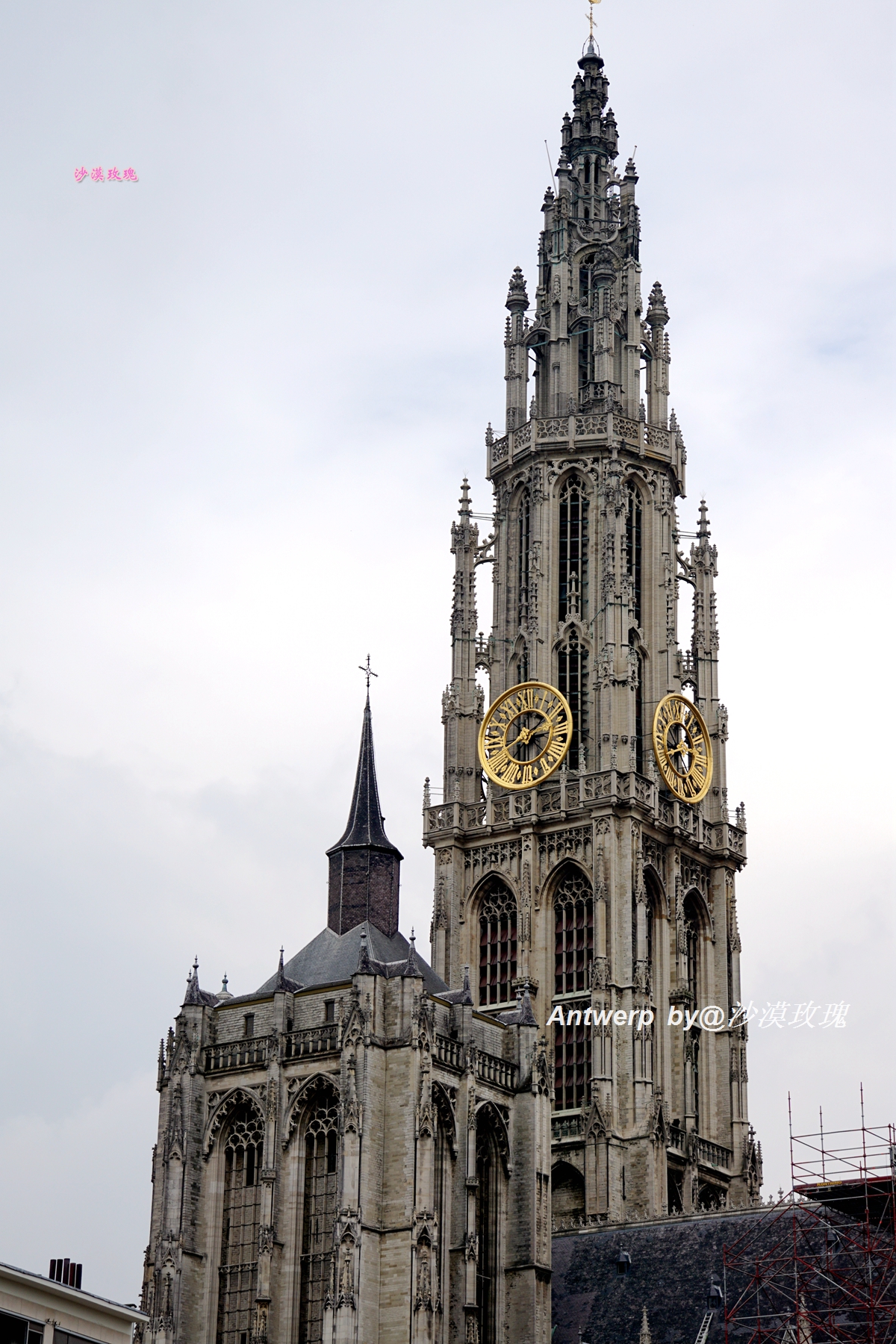 阿尔卑斯山设计,阿尔卑斯山旅游策划案例