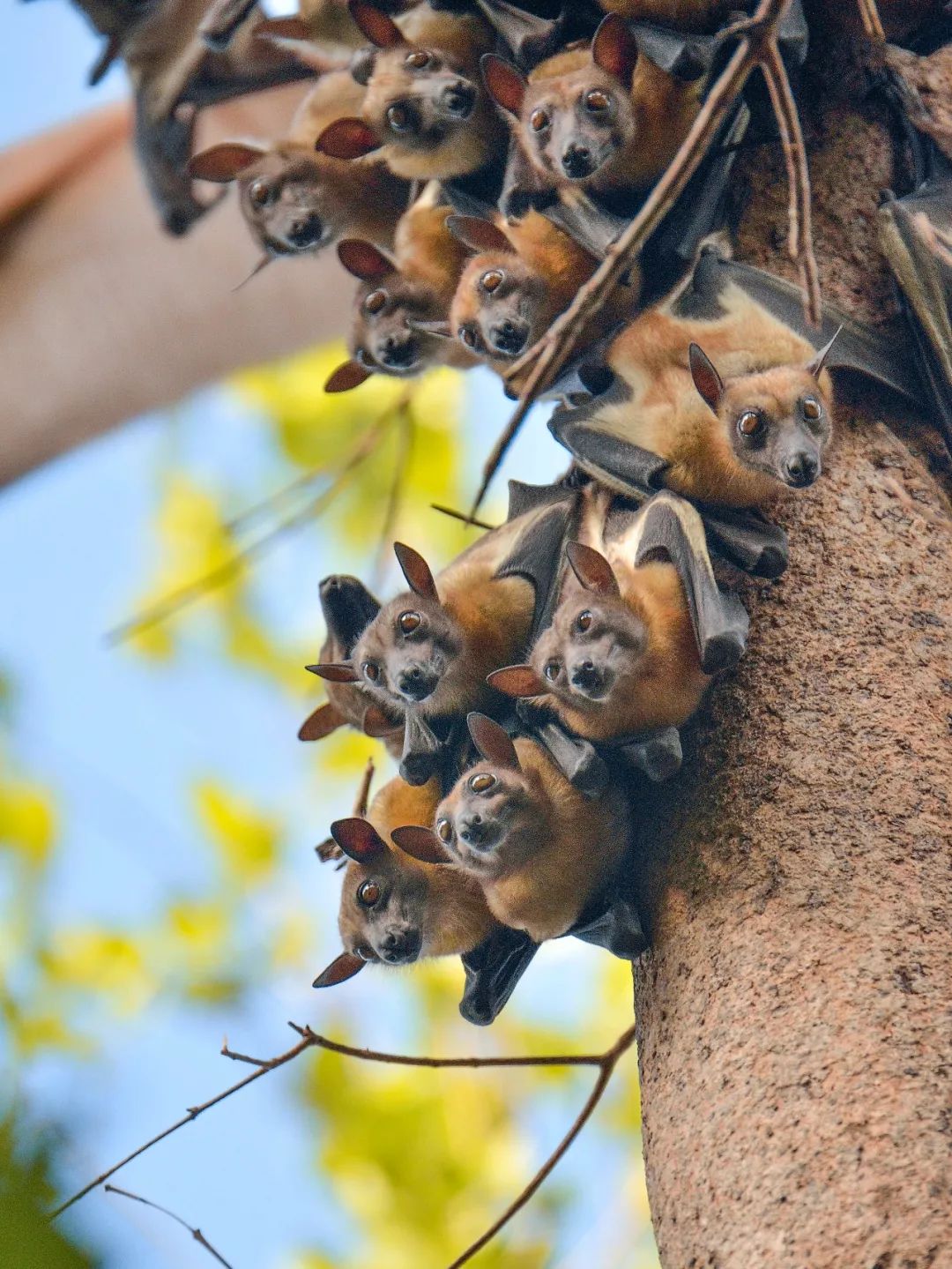 医生和病毒作战,我们如何对付病毒