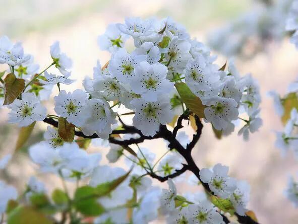 一段感情让你变得自卑又自负,因为自卑所以爱和伤害都是加倍的