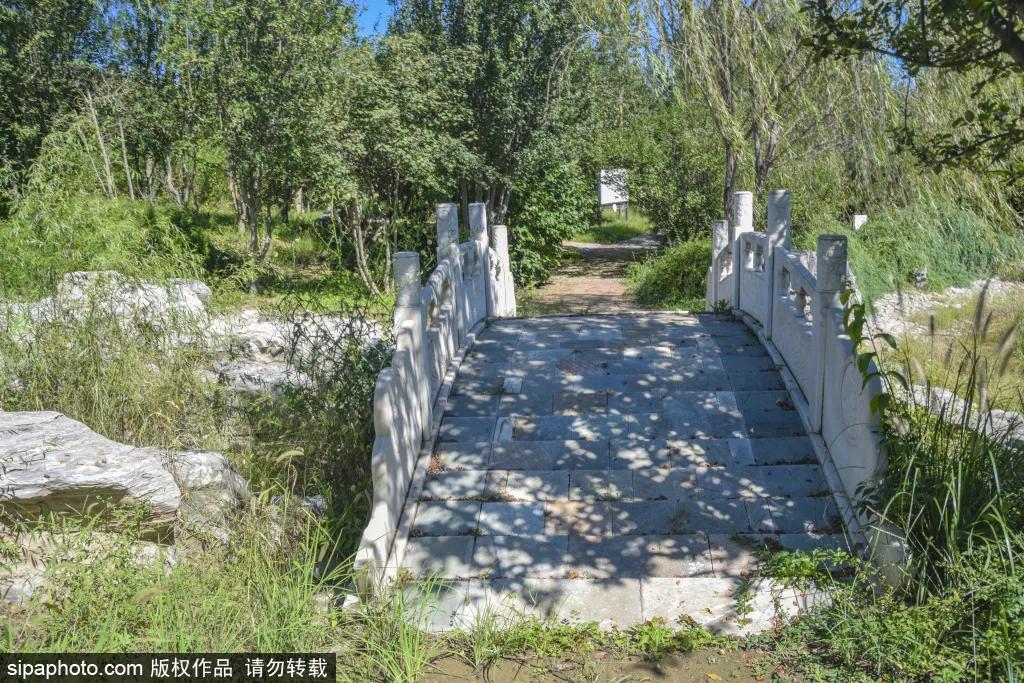 绿皮火车公园打卡景点,各种各样的免费公园