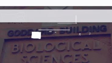 婢冲ぇ鍒╀簹鏃呮父鍏矾,婢冲ぇ鍒╀簹鑷┚娓歌鐣呮父鍏矾