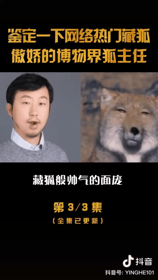科普博主点赞,一个科普博主的顶流之路