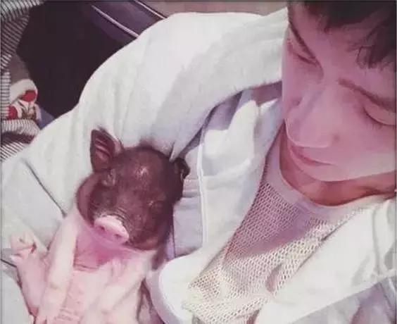 欧阳娜娜戚薇综艺发型,欧阳娜娜清纯可爱