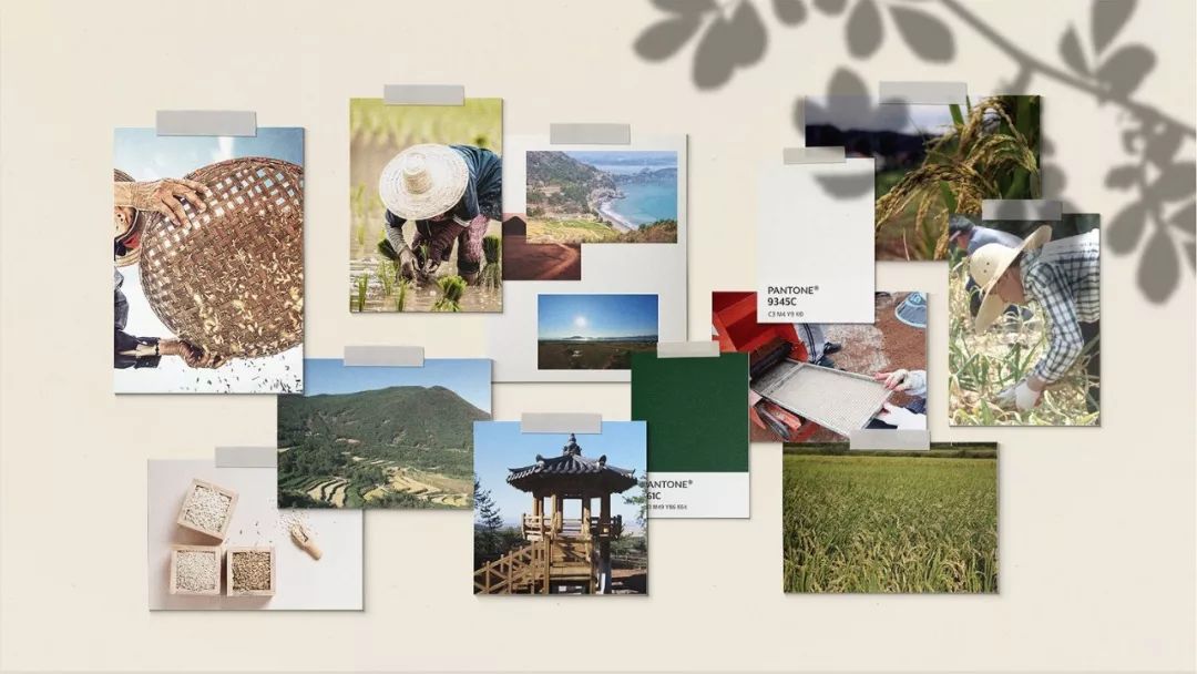 包装大米造型,高端大米包装设计大全