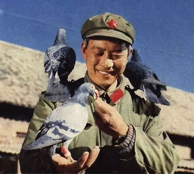 陈文广教授之引育结合和变与不变