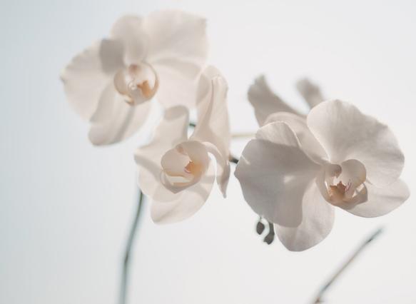 创伤后应激障碍的早期干预课题,创伤后应激障碍运动治疗方法