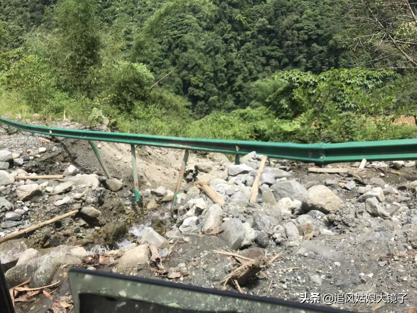 穿越原始的森林,穿越原始森林巨大蜈蚣