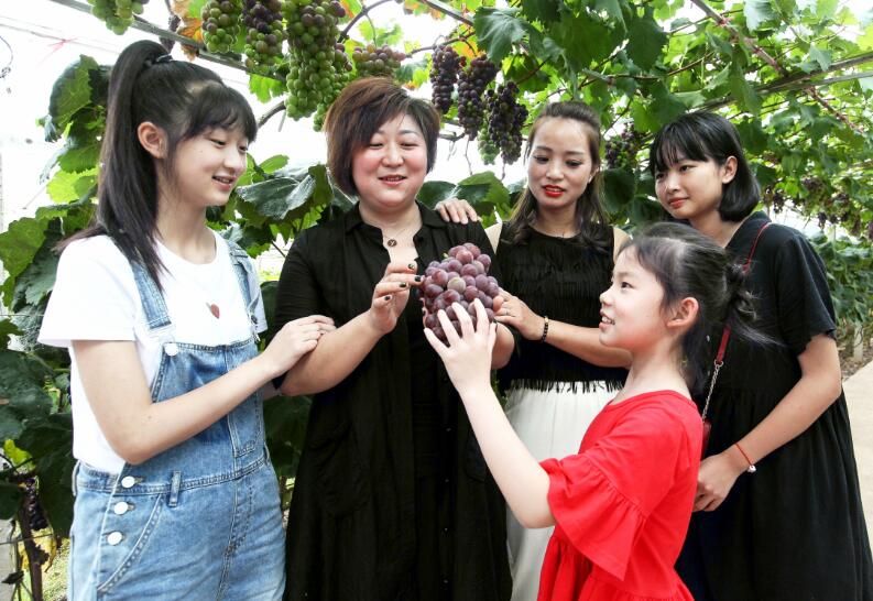 广安农家妹子返乡创业酿酒,广安农家妹子酿美酒