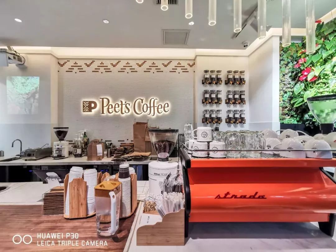 上海魔都最火网红,魔都网红打卡地