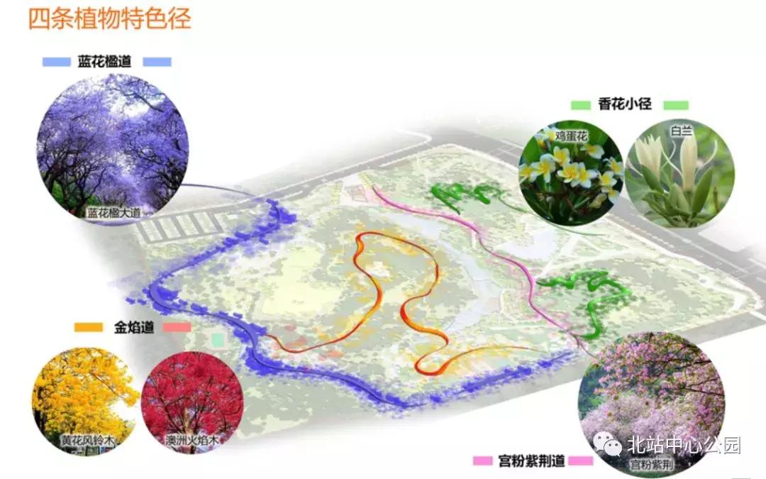 相当于112个足球场的图片,深圳足球公园效果图