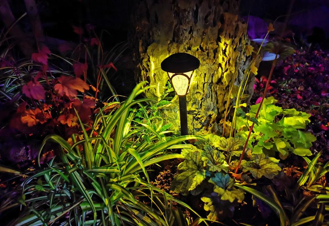 最简单便宜的小院花园设计,最实用好打理的庭院设计