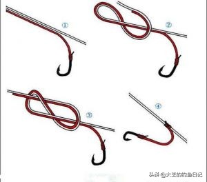 鱼游岸边好钓不,冬季海竿串钩钓鱼方法