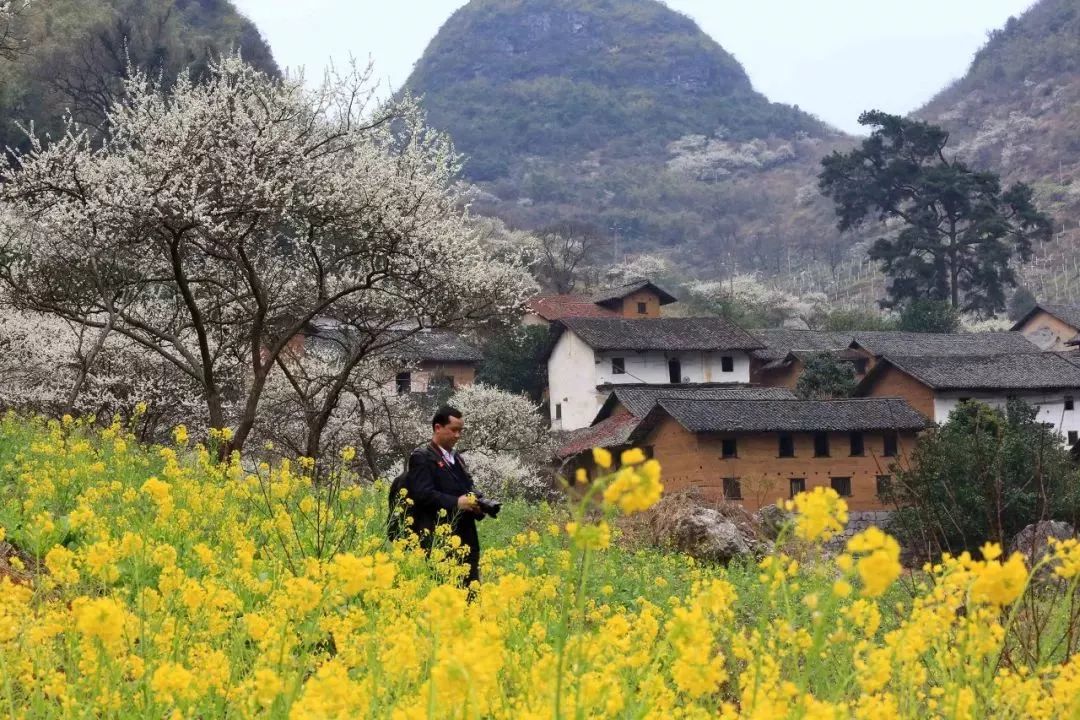 广西有座小城,广西这个宜居小城很低调