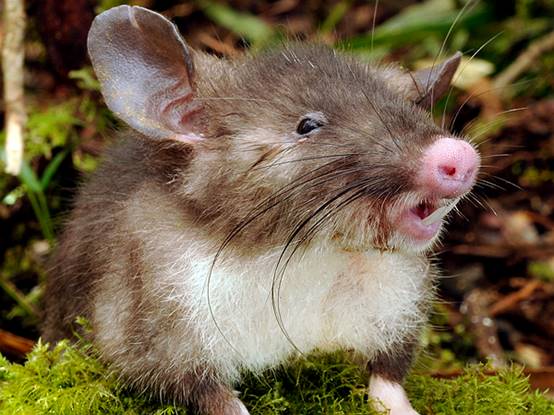 如何避免成为千篇一律的网红脸,怎么样打造网红脸