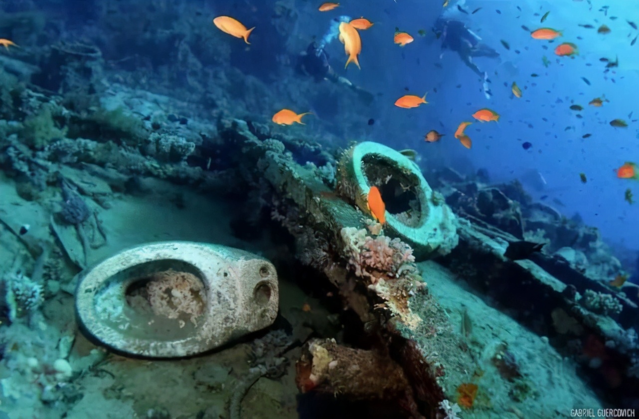 自然奇观水下世界,水下世界非常神秘而美丽