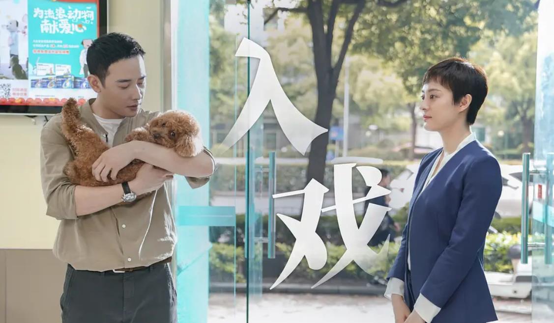 安家后续深度解析,安家透露出的问题