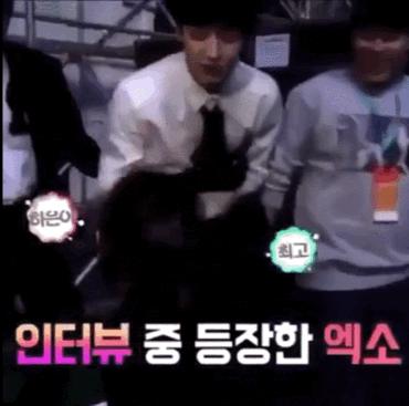 韩国神童罗夏恩泫雅,舞蹈神童罗夏恩和泫雅