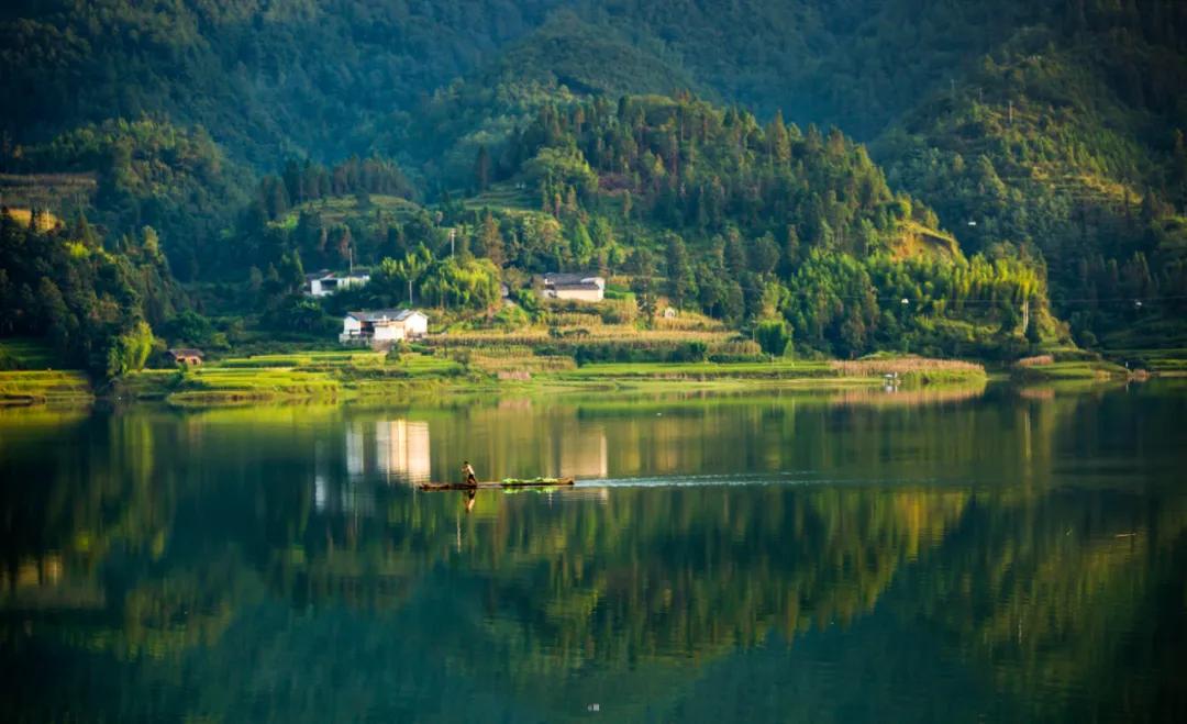 这是一个充满生机的公园怎么说,这是一个充满生机的国度朗诵