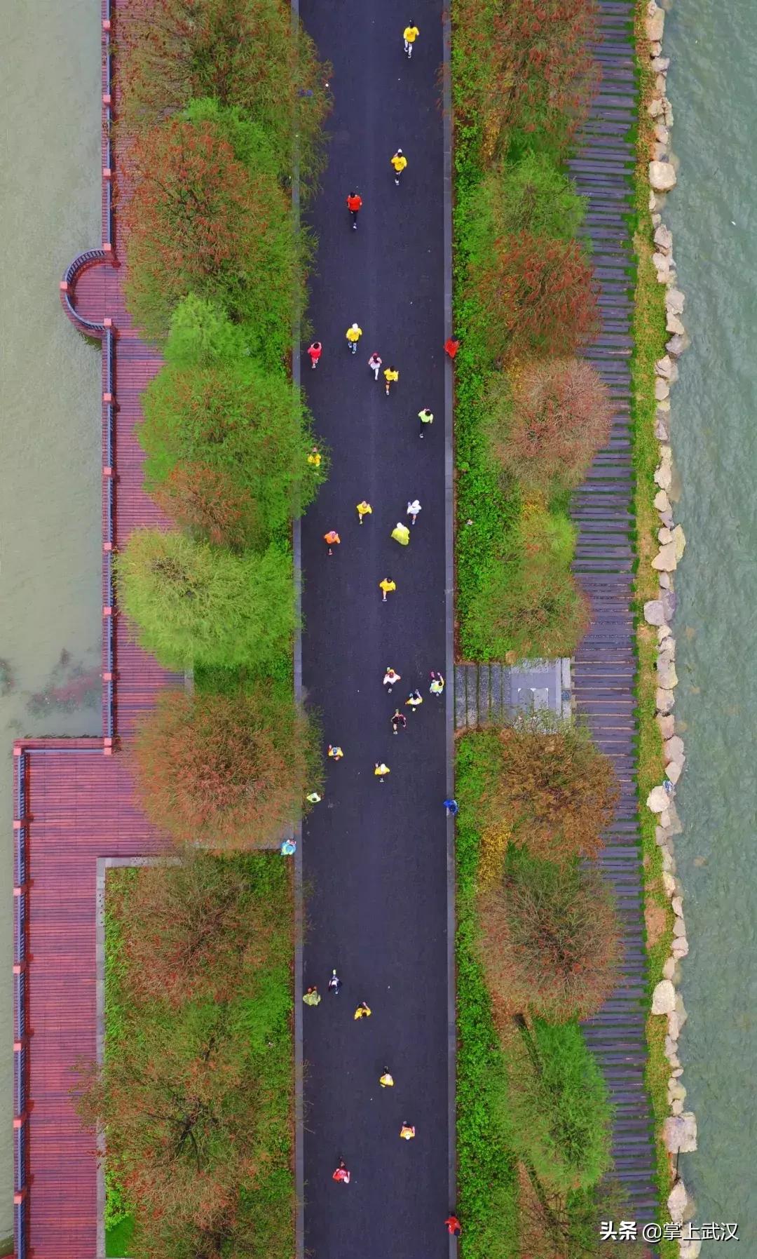 武汉人对长江的感情,为什么说武汉对外地人友好