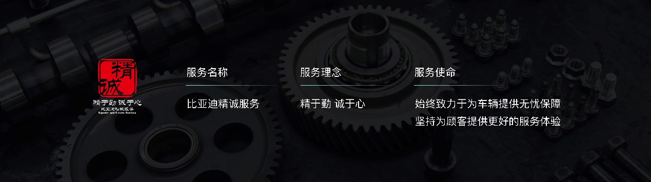 全新秦ev预计上市,全新一代秦ev上市