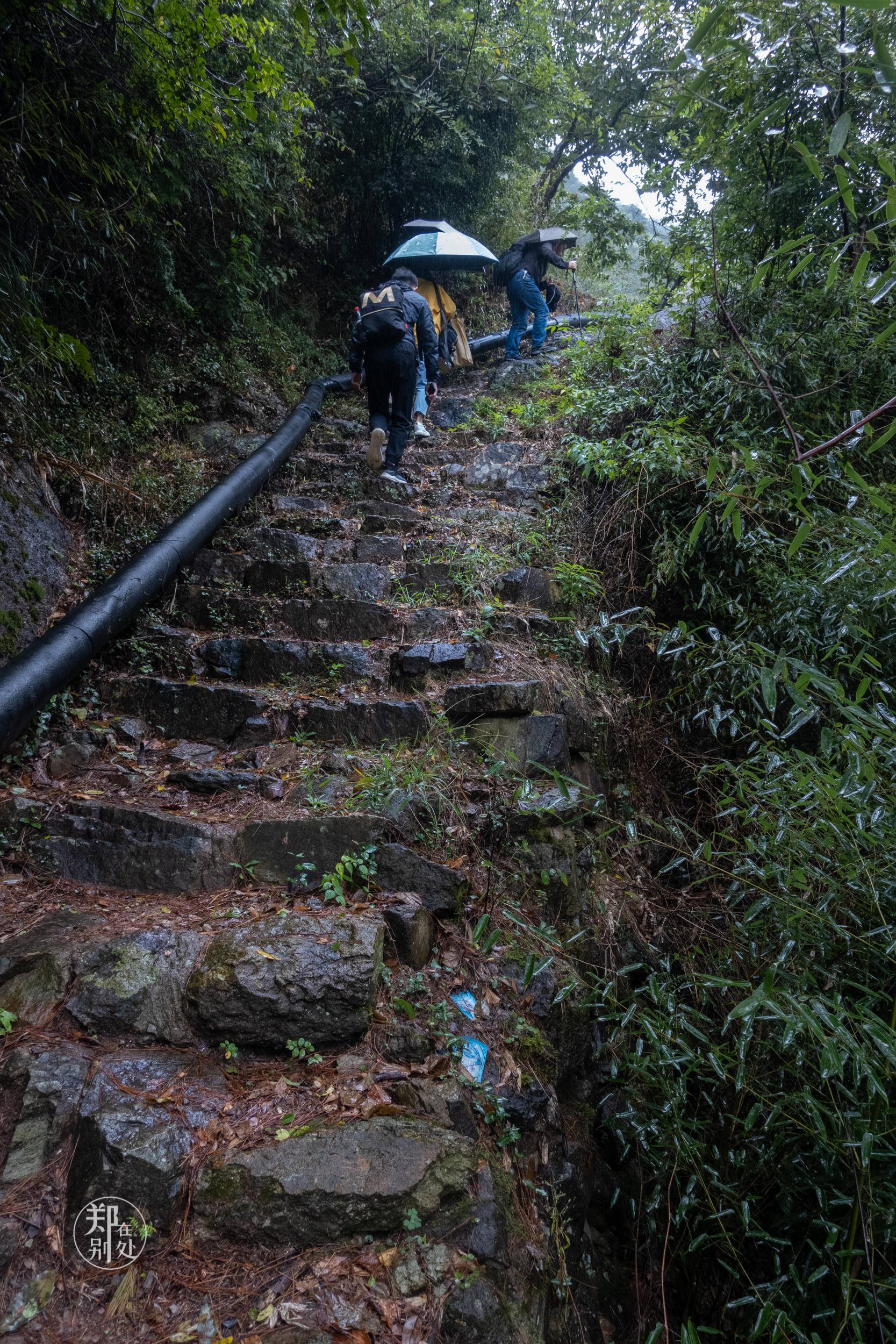 香榧古道,香榧古道徒步路线哪条景色美