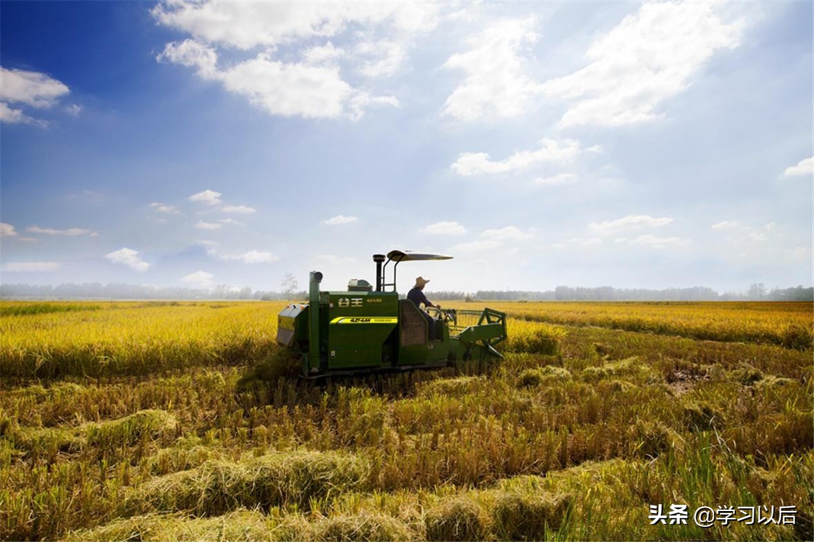 “农学”专业持续爆冷，即使985大学也不能幸免，主要有这3个原因