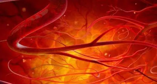 满脸痘痘和痘印怎么调理,痘痘痘印修复的最佳方法